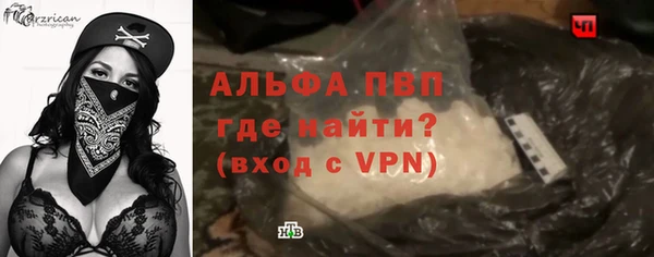 амф Верея