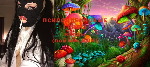 амф Верея