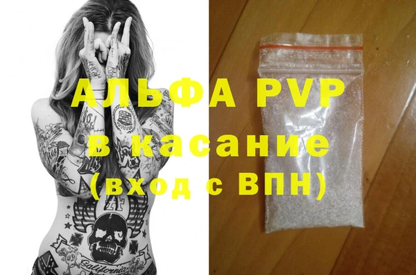 амф Верея