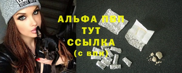 амф Верея