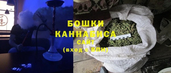 амф Верея