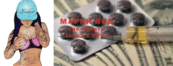 амф Верея