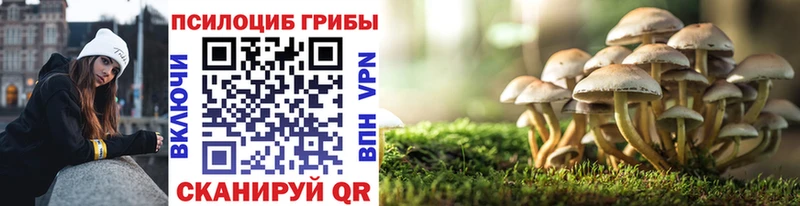 Галлюциногенные грибы Cubensis Иноземцево